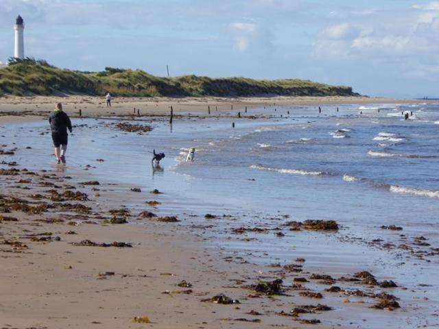 Rick's Retreat Static Caravan Near The With Free Wifi * Lossiemouth